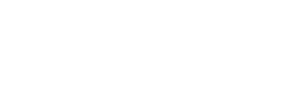 logo horizontal white